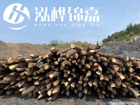 松木桩价格计算方法-松木桩各尺寸价格对照表