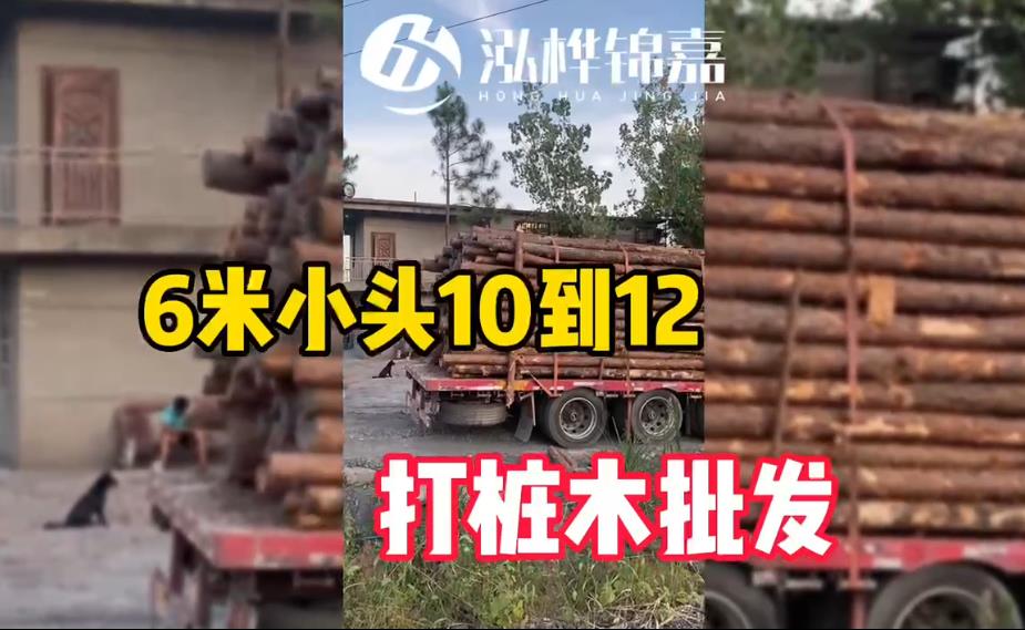 6米小头10-12cm打桩木批发视频