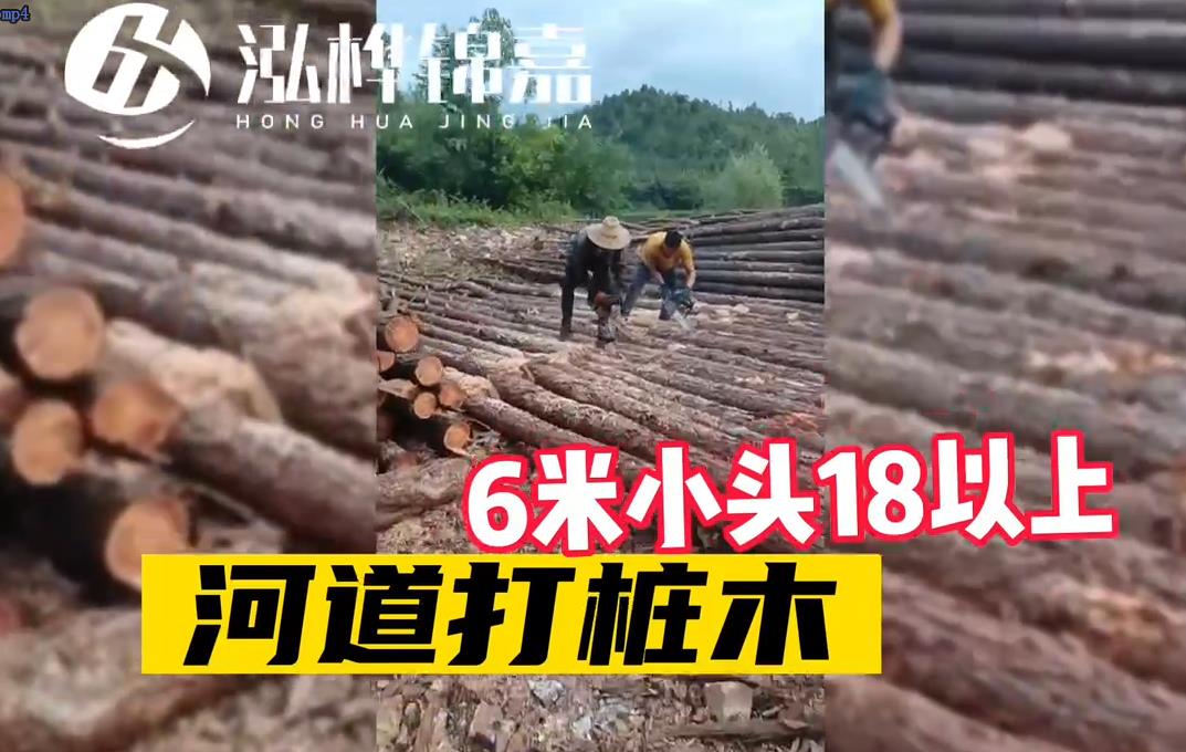打桩木视频