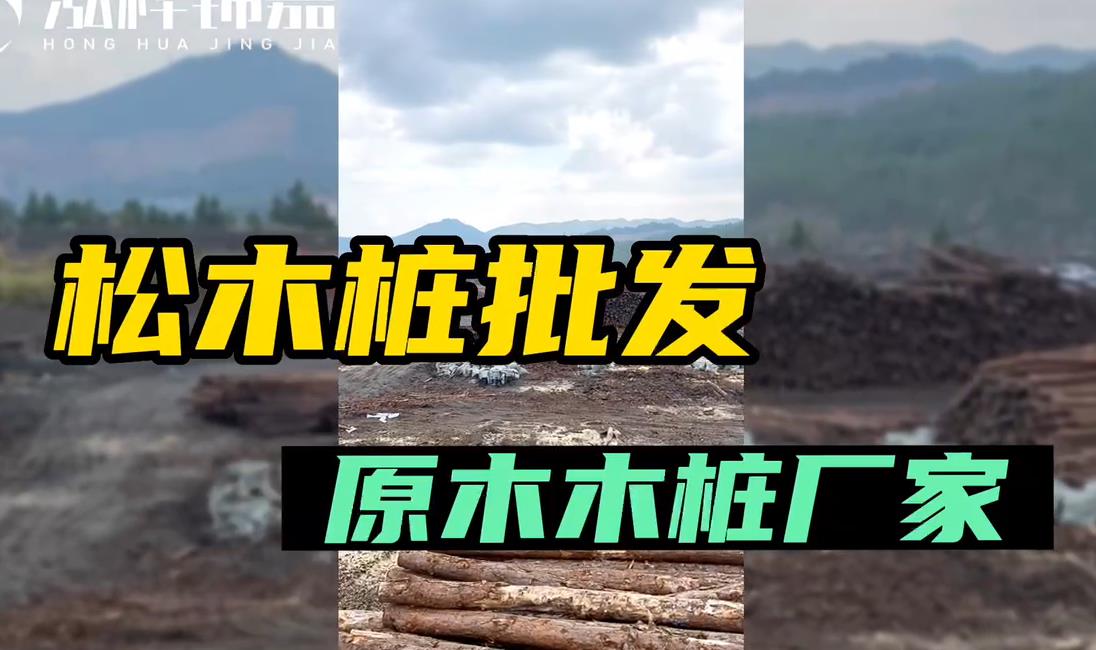 原木木桩厂家批发松木桩