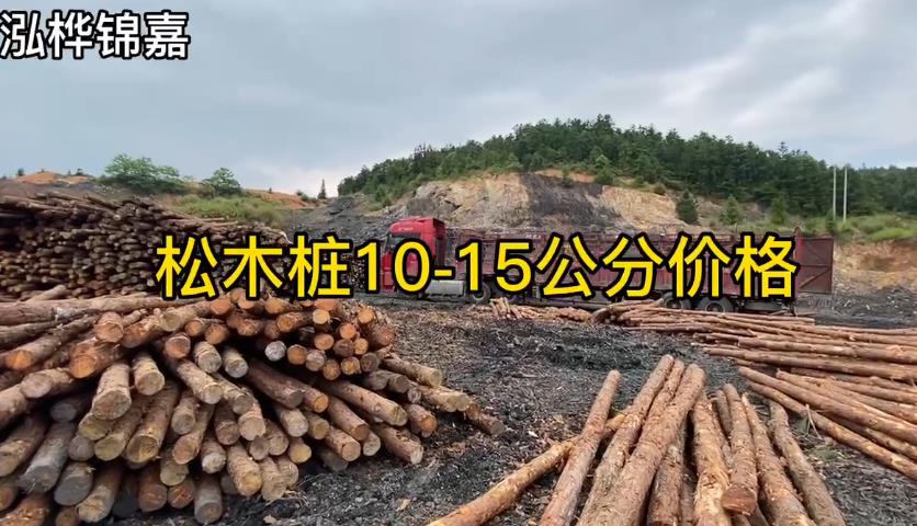 松木桩10-15cm价格视频
