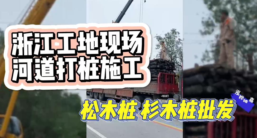 木桩厂家承接松木桩、杉木桩工地施工与批发视频