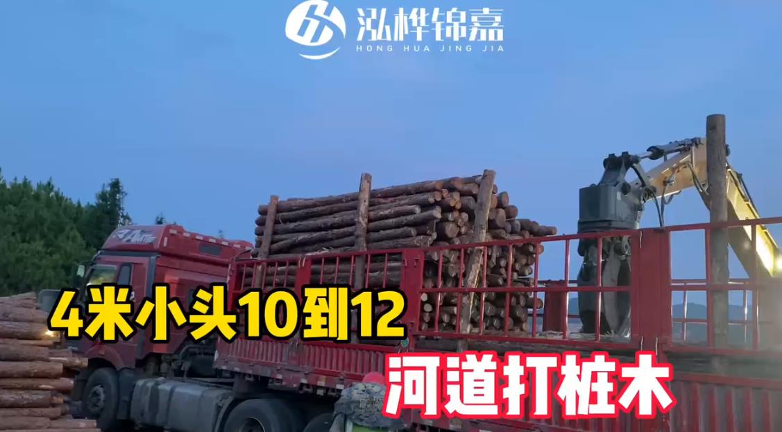 加固6米小头20cm松木桩视频