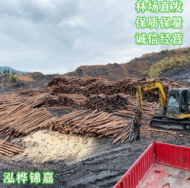  1-8米大型专业定制工地加固原木桩木