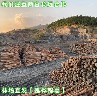 12公分湿地河道加固松木桩
