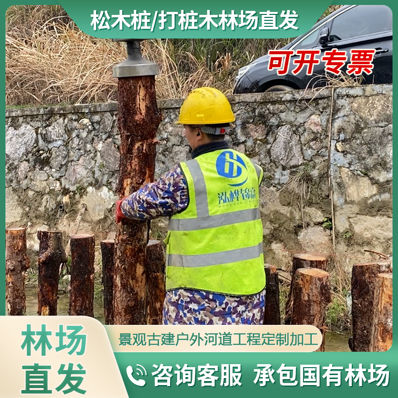 松木桩打不下去怎么办？这里有解决方案！