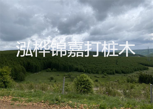 松木桩能重复施工么？
