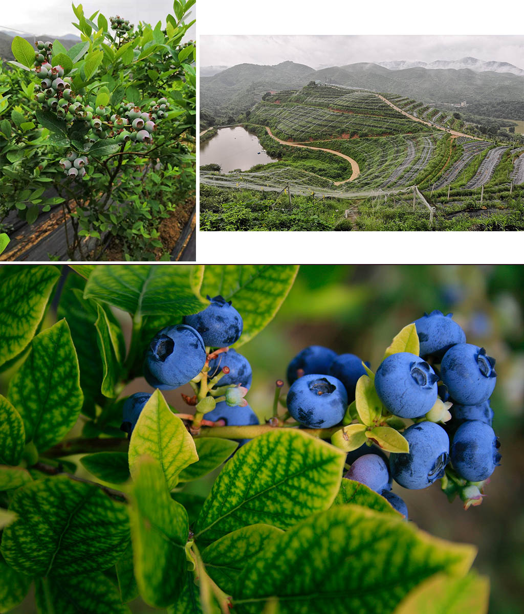 1621333338988044.jpg 3-3.jpg